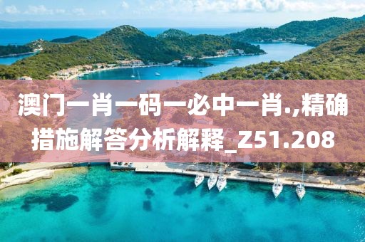 澳门一肖一码一必中一肖.,精确措施解答分析解释_Z51.208