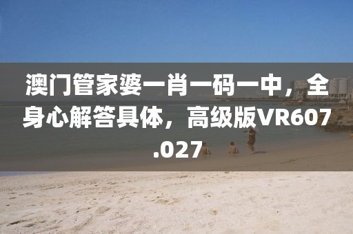 澳门管家婆一肖一码一中，全身心解答具体，高级版VR607.027