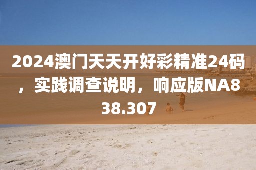2024澳门天天开好彩精准24码，实践调查说明，响应版NA838.307