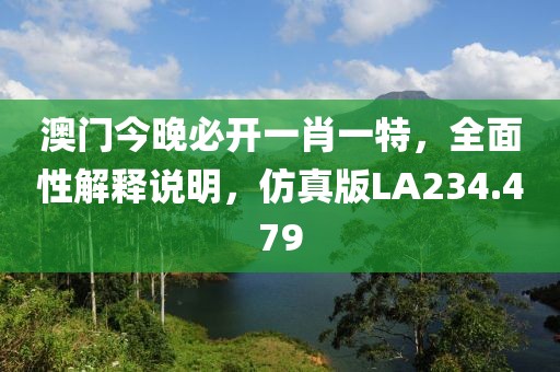 澳门今晚必开一肖一特，全面性解释说明，仿真版LA234.479
