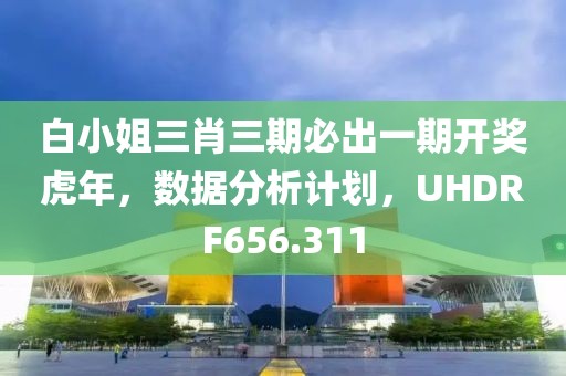 白小姐三肖三期必出一期开奖虎年，数据分析计划，UHDRF656.311