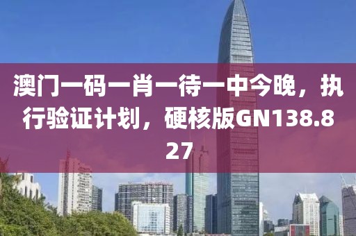 澳门一码一肖一待一中今晚，执行验证计划，硬核版GN138.827