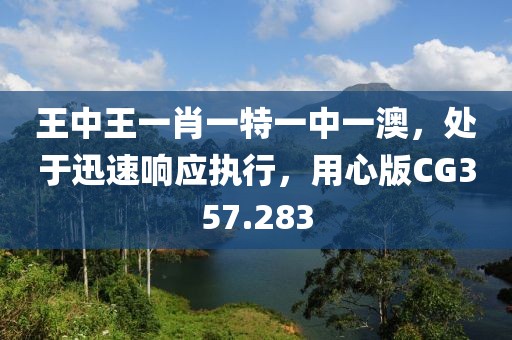 王中王一肖一特一中一澳，处于迅速响应执行，用心版CG357.283