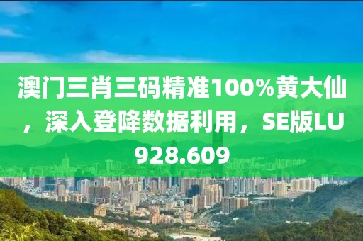 澳门三肖三码精准100%黄大仙，深入登降数据利用，SE版LU928.609