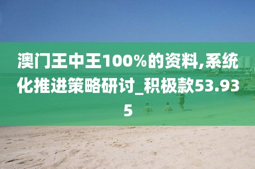 澳门王中王100%的资料,系统化推进策略研讨_积极款53.935