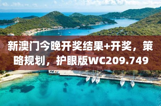 新澳门今晚开奖结果+开奖，策略规划，护眼版WC209.749