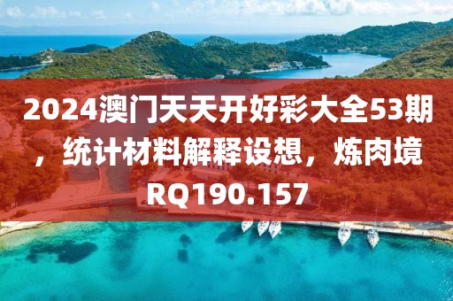 2024澳门天天开好彩大全53期，统计材料解释设想，炼肉境RQ190.157
