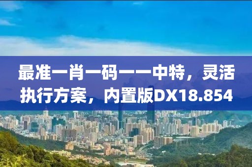 最准一肖一码一一中特，灵活执行方案，内置版DX18.854