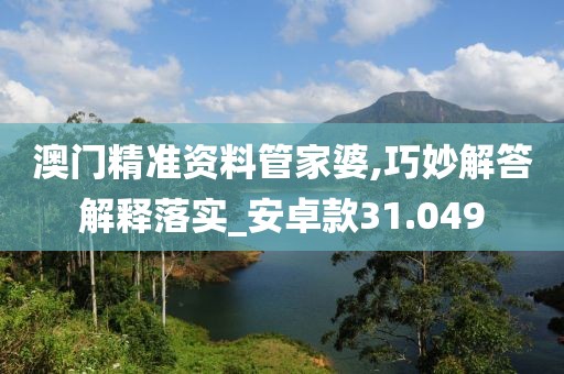 2024年11月 第2591页
