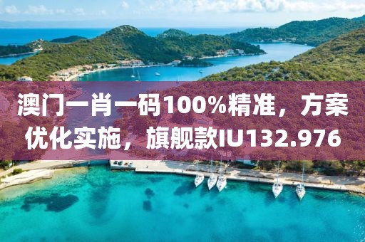 澳门一肖一码100%精准，方案优化实施，旗舰款IU132.976