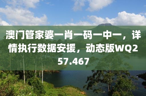 澳门管家婆一肖一码一中一，详情执行数据安援，动态版WQ257.467