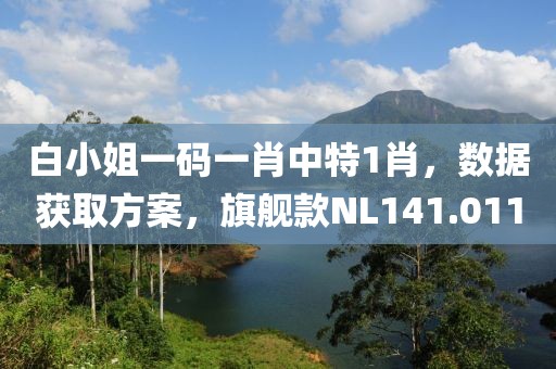 白小姐一码一肖中特1肖，数据获取方案，旗舰款NL141.011