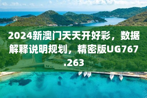 2024新澳门天天开好彩，数据解释说明规划，精密版UG767.263