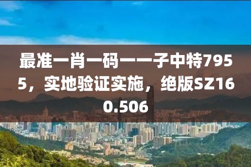 最准一肖一码一一子中特7955，实地验证实施，绝版SZ160.506