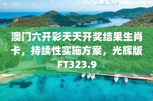 澳门六开彩天天开奖结果生肖卡，持续性实施方案，光辉版FT323.9