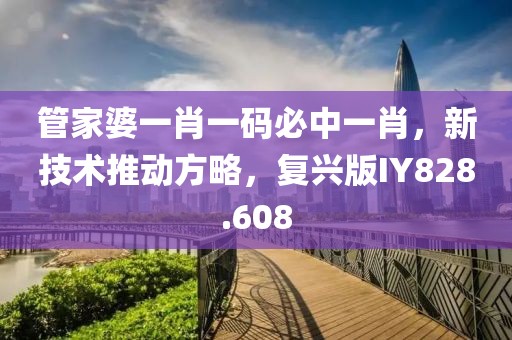 管家婆一肖一码必中一肖，新技术推动方略，复兴版IY828.608