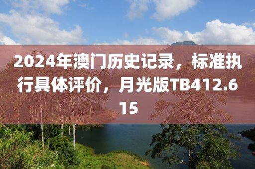 2024年澳门历史记录，标准执行具体评价，月光版TB412.615