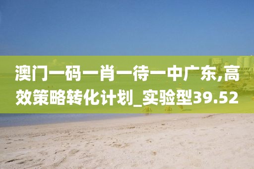 澳门一码一肖一待一中广东,高效策略转化计划_实验型39.52