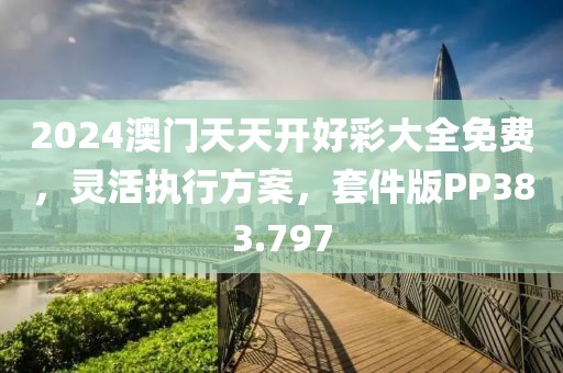 2024澳门天天开好彩大全免费，灵活执行方案，套件版PP383.797