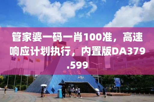 管家婆一码一肖100准，高速响应计划执行，内置版DA379.599