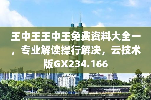 王中王王中王免费资料大全一，专业解读操行解决，云技术版GX234.166