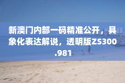 新澳门内部一码精准公开，具象化表达解说，透明版ZS300.981