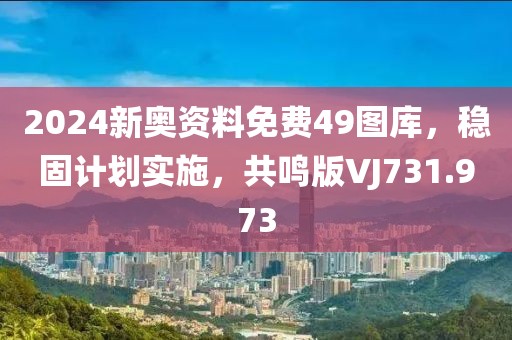 2024新奥资料免费49图库，稳固计划实施，共鸣版VJ731.973