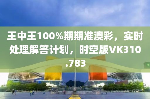 王中王100%期期准澳彩，实时处理解答计划，时空版VK310.783