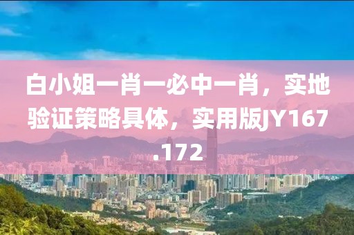 白小姐一肖一必中一肖，实地验证策略具体，实用版JY167.172