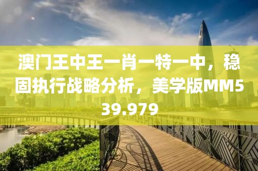 澳门王中王一肖一特一中，稳固执行战略分析，美学版MM539.979
