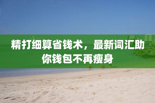 精打细算省钱术，最新词汇助你钱包不再瘦身