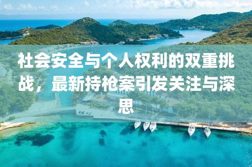 社会安全与个人权利的双重挑战，最新持枪案引发关注与深思