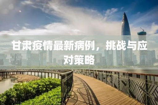 甘肃疫情最新病例，挑战与应对策略