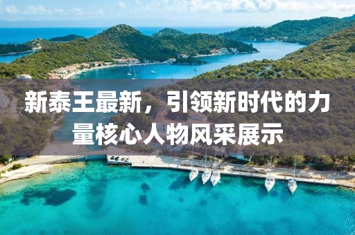新泰王最新，引领新时代的力量核心人物风采展示
