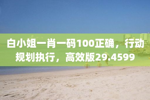 白小姐一肖一码100正确，行动规划执行，高效版29.4599