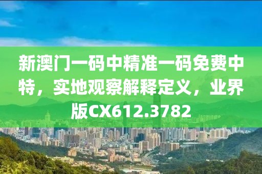 独孤槿 第36页