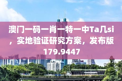 澳门一码一肖一特一中Ta几si，实地验证研究方案，发布版179.9447