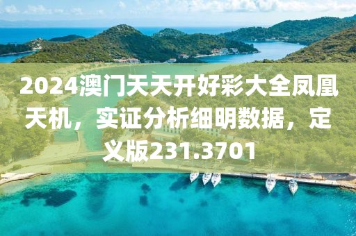 2024澳门天天开好彩大全凤凰天机，实证分析细明数据，定义版231.3701