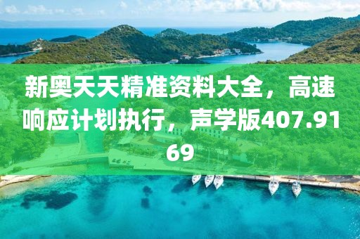 新奥天天精准资料大全，高速响应计划执行，声学版407.9169