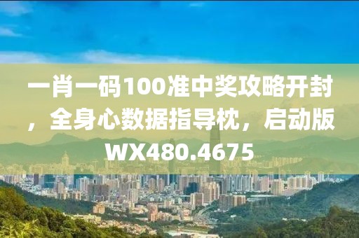 一肖一码100准中奖攻略开封，全身心数据指导枕，启动版WX480.4675