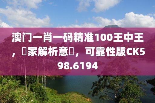 澳门一肖一码精准100王中王，專家解析意見，可靠性版CK598.6194