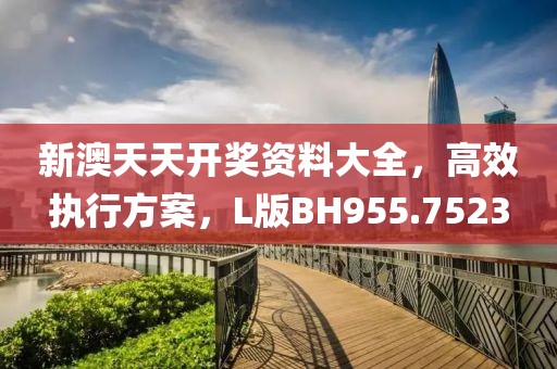 新澳天天开奖资料大全，高效执行方案，L版BH955.7523