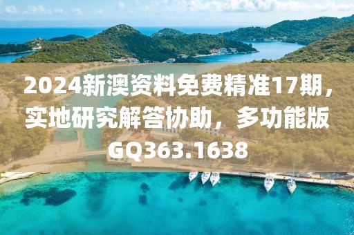 2024新澳资料免费精准17期，实地研究解答协助，多功能版GQ363.1638
