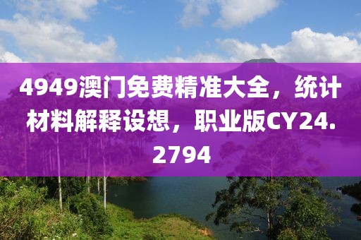 4949澳门免费精准大全，统计材料解释设想，职业版CY24.2794