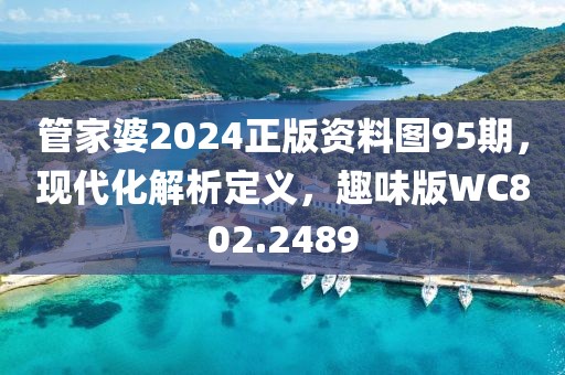 管家婆2024正版资料图95期，现代化解析定义，趣味版WC802.2489