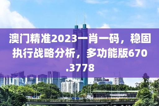 澳门精准2023一肖一码，稳固执行战略分析，多功能版670.3778