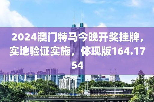 2024澳门特马今晚开奖挂牌，实地验证实施，体现版164.1754