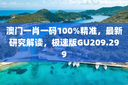 澳门一肖一码100%精准，最新研究解读，极速版GU209.299