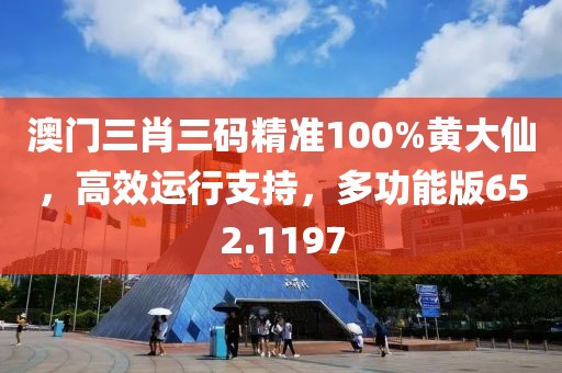 澳门三肖三码精准100%黄大仙，高效运行支持，多功能版652.1197