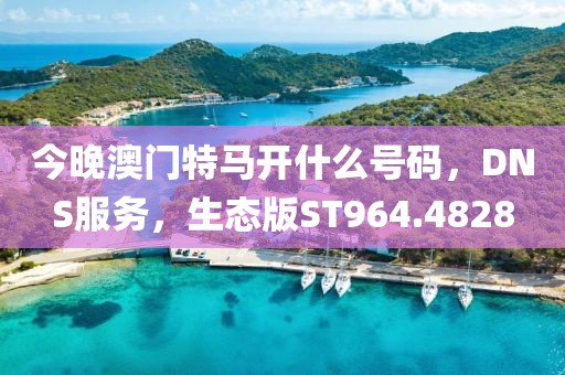 今晚澳门特马开什么号码，DNS服务，生态版ST964.4828